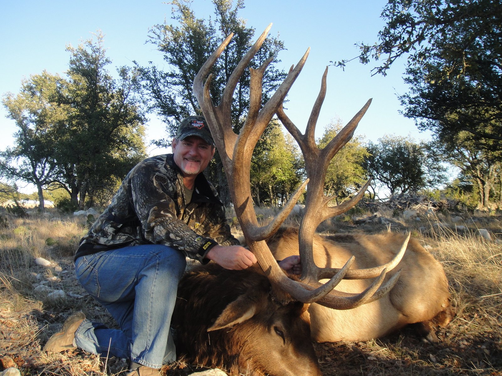 500 Inch Elk Hunting In Texas