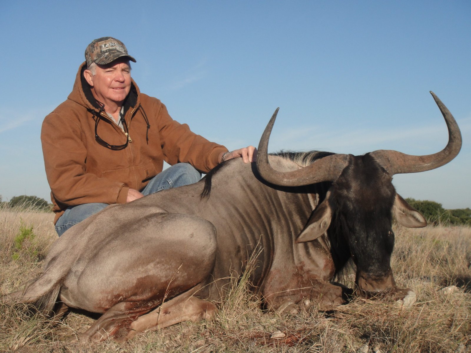 Blue Wildebeest Hunting in Texas scaled