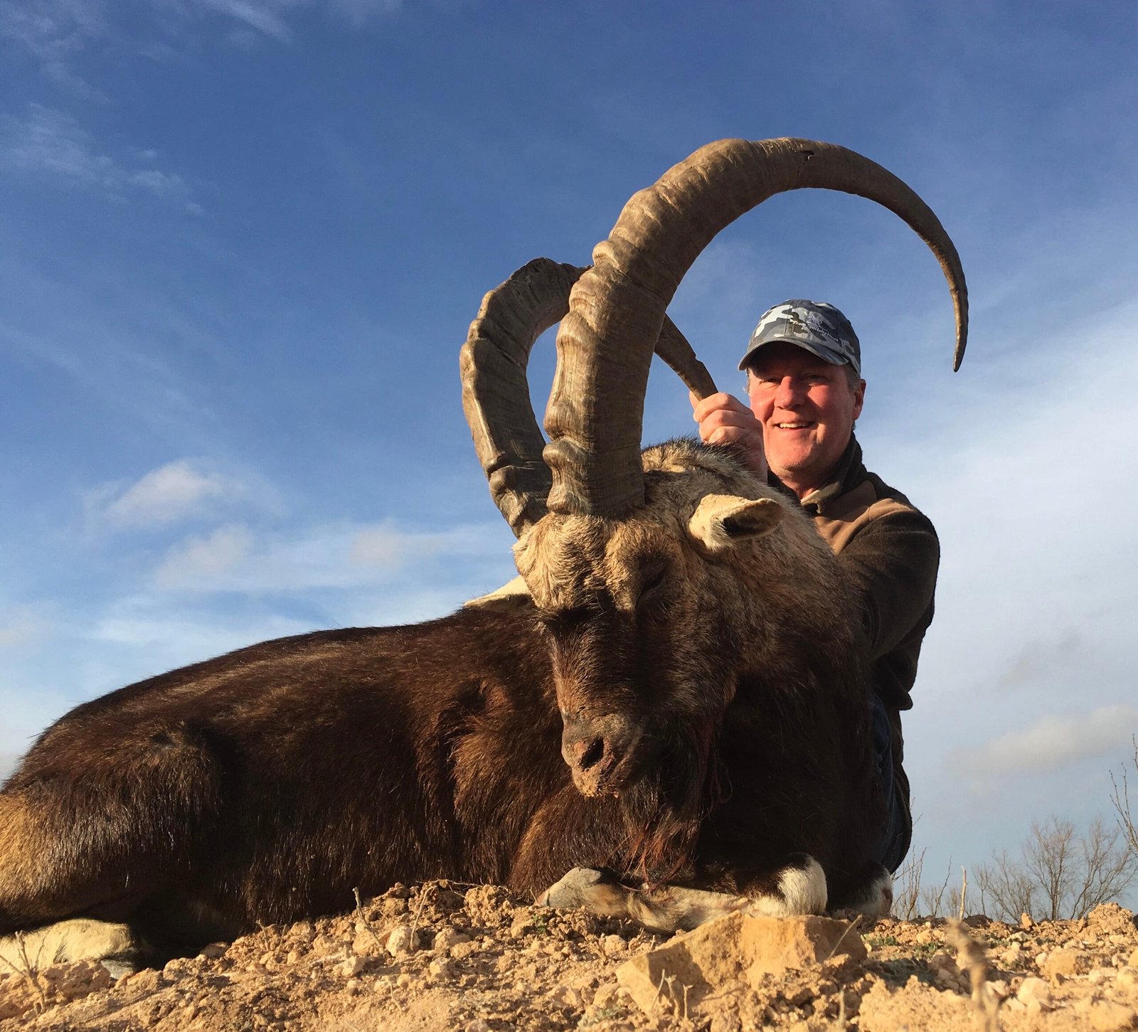 Ibex Hunting in Texas scaled