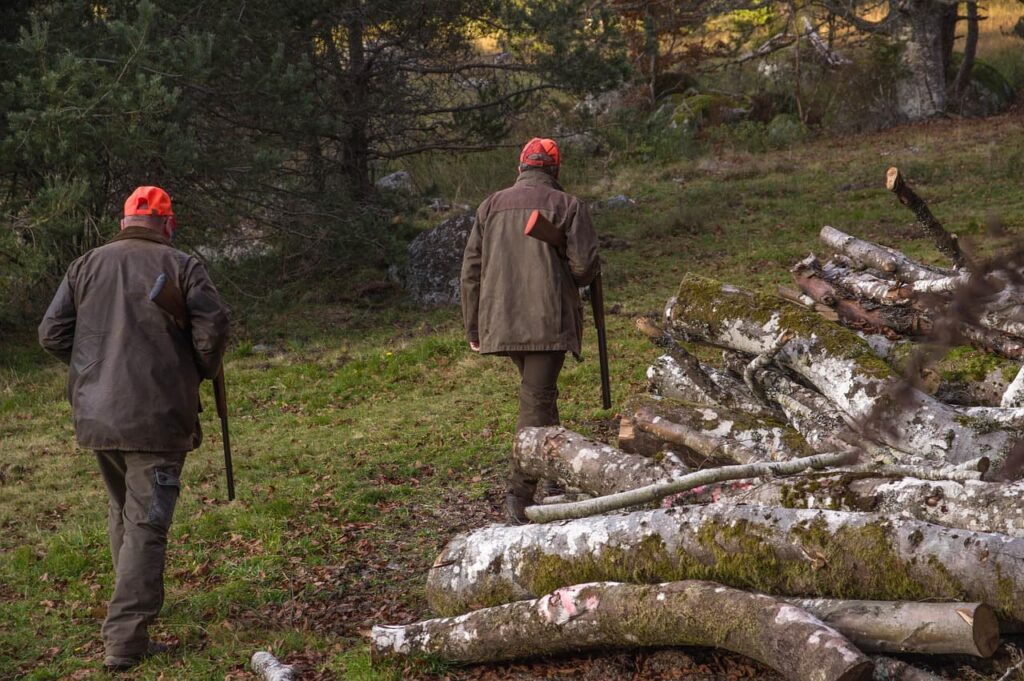 Hog Hunting Tips Every Beginner Should Know