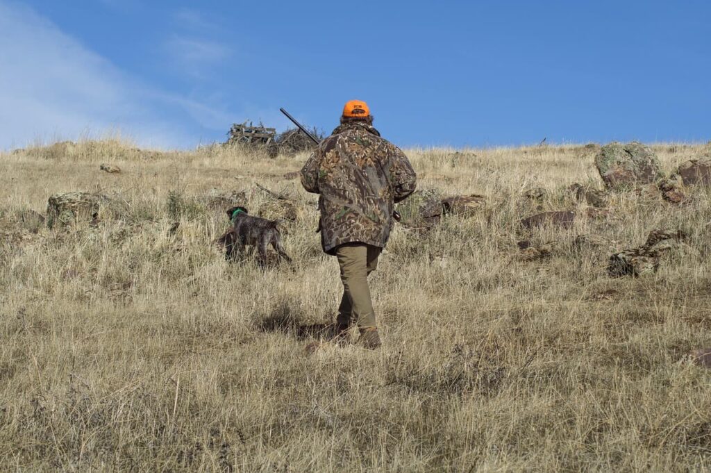 What Gear Do You Need for Dove Hunting?