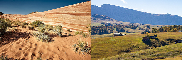 Collage of mule deer hunting terrains - desert and alpine areas