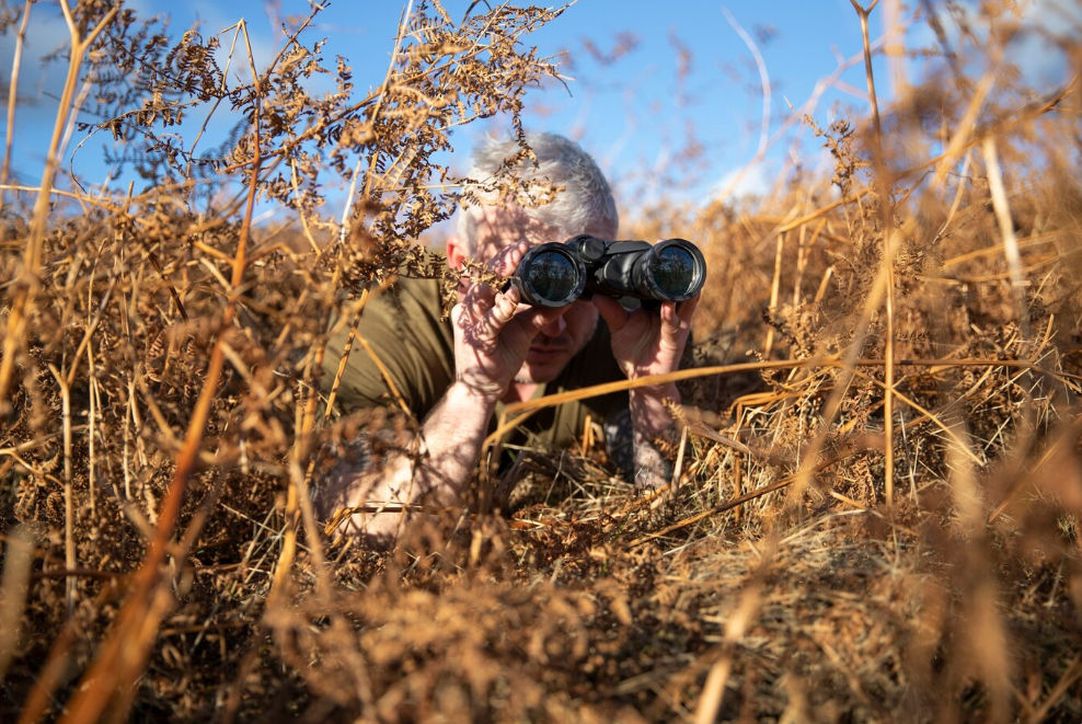 Hunter glassing mule deer with binoculars in rough terrain