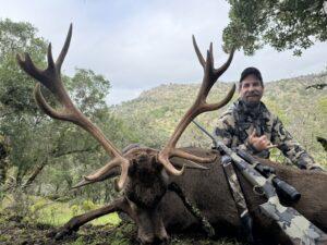 Iberian red stag hunting in Spain with trophy hunter