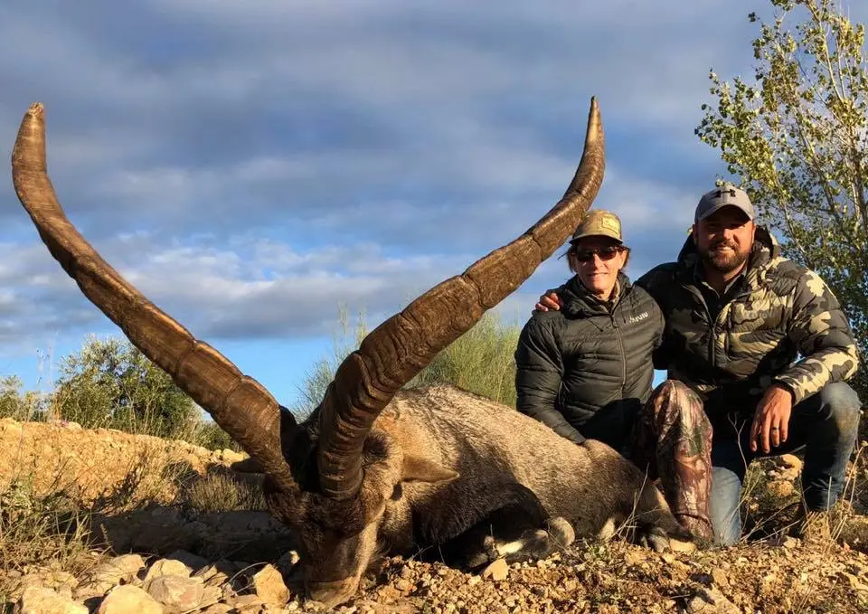 Hunters with a Beceite ibex in Spain