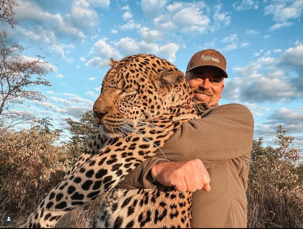 Hunter holding a mature African leopard