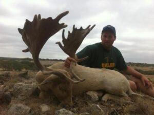 Fallow deer hunting in Spain with trophy hunter