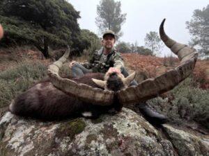 Gredos ibex hunting in Spain with trophy hunter