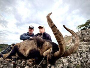Southeastern ibex hunting in Spain with trophy hunters