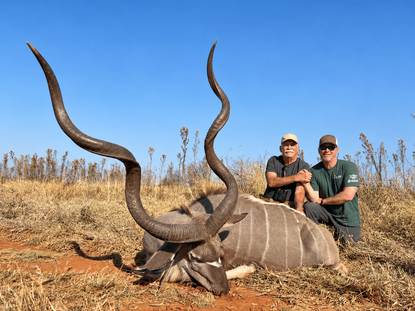 Hunters with kudu on a Mozambique safari