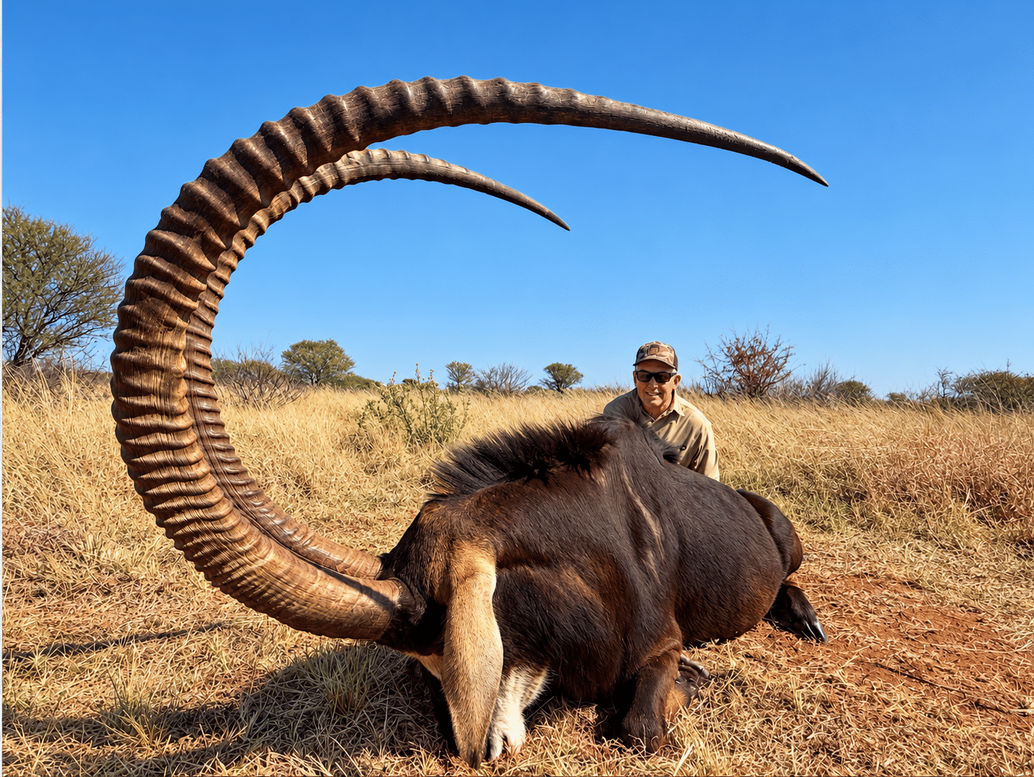 South Africa sable hunt