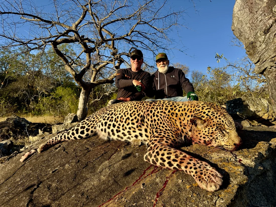 Zimbabwe leopard hunt