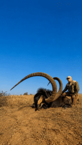roan hunting South Africa with Global Hunting Solutions