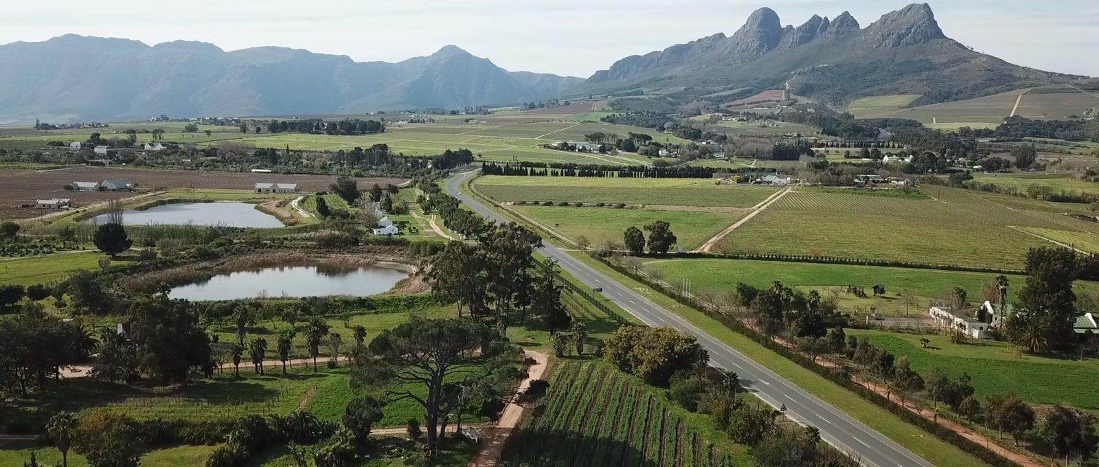 Aerial view of the Stellenbosch Winelands